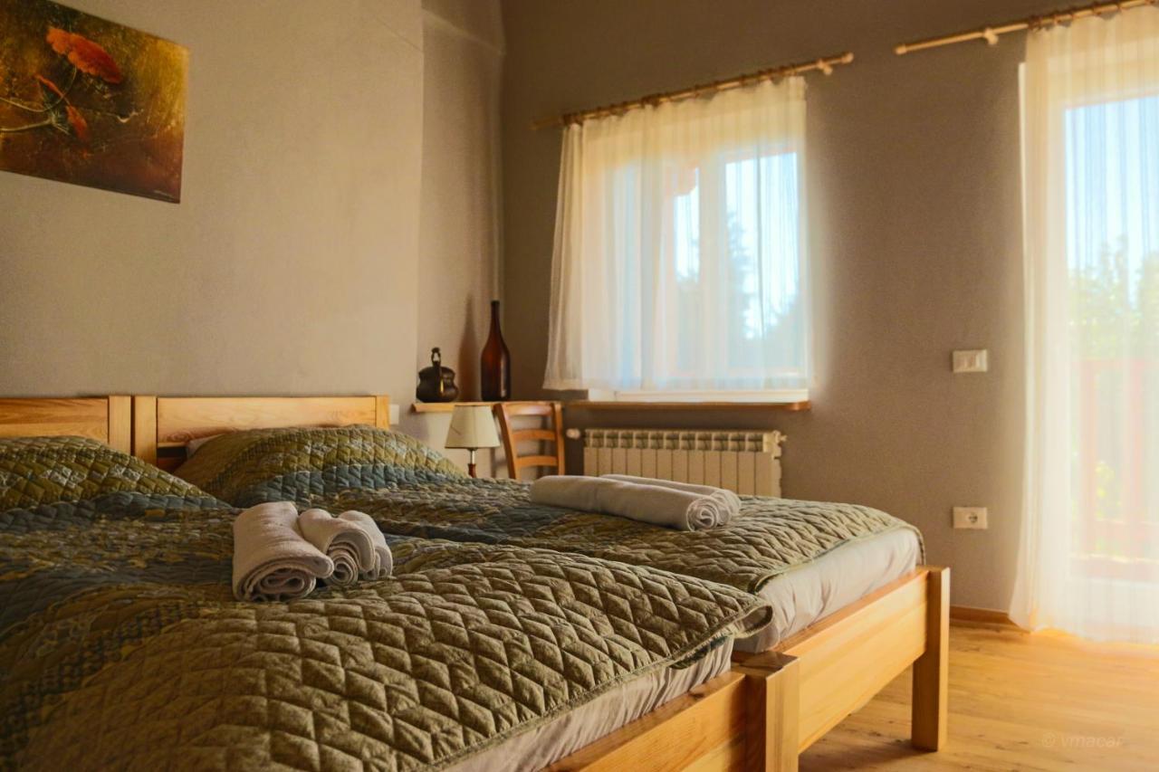Hotel Casa Lenka à Malchina Extérieur photo